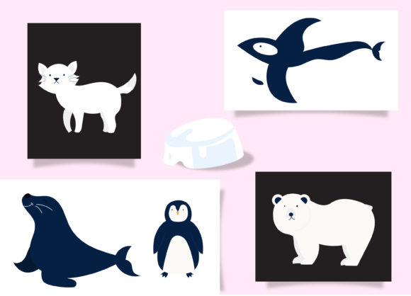 Download Arctic Animal Set Bundle&nbsp; - Arctic animal Collection