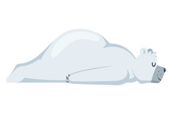 Download Cute Polar Bear. White Arctic Animal Sle - Arctic animal Collection
